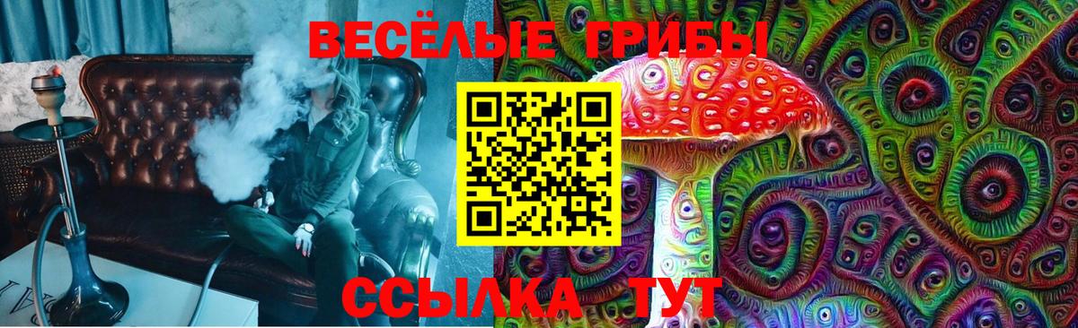 Уссурийск  Галлюциногенные грибы Magic Shrooms  Вход с VPN 